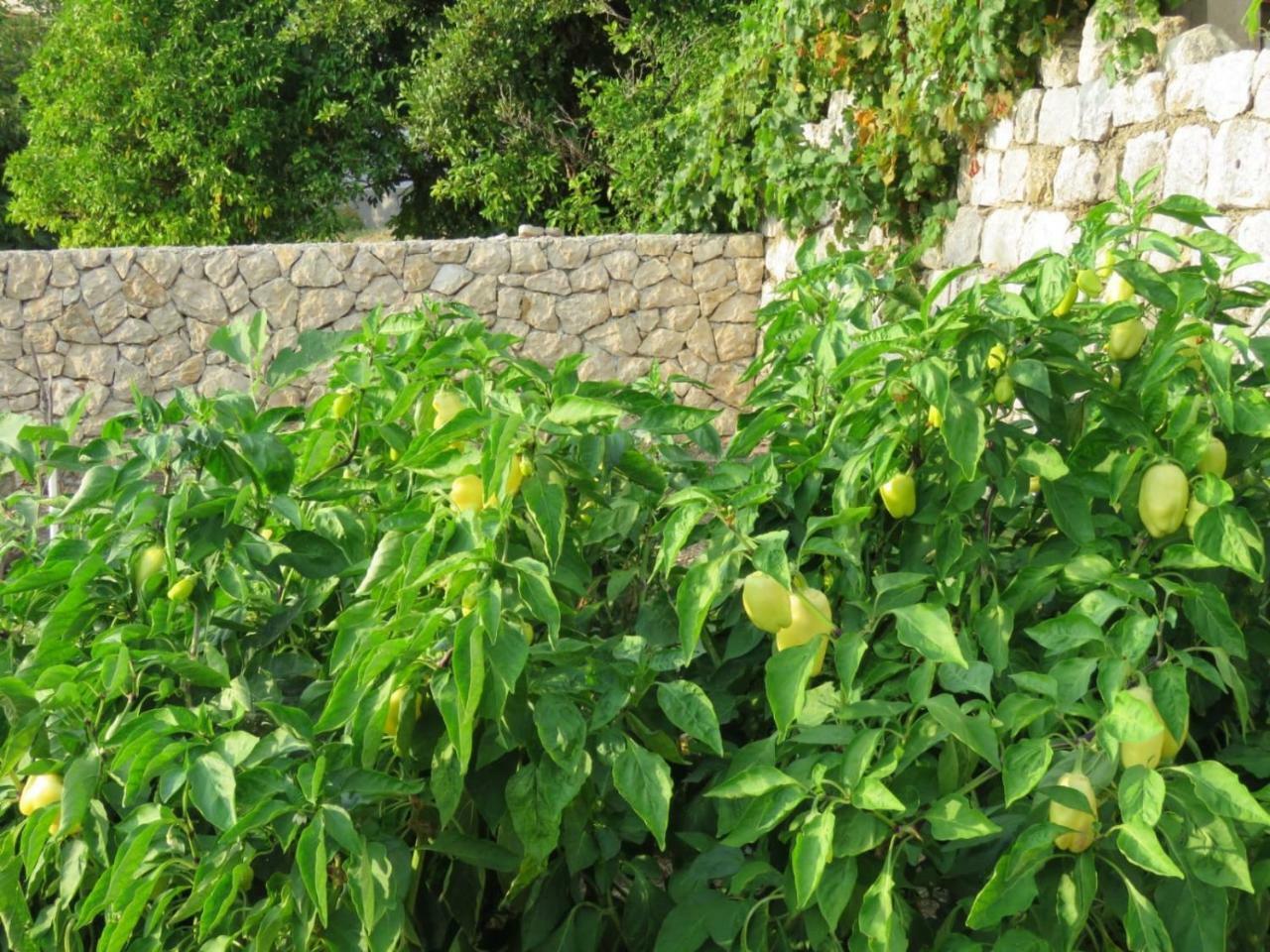 سلانو Vila Mozara المظهر الخارجي الصورة