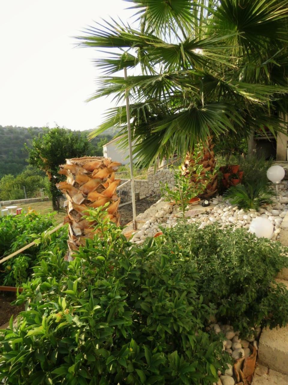 سلانو Vila Mozara المظهر الخارجي الصورة